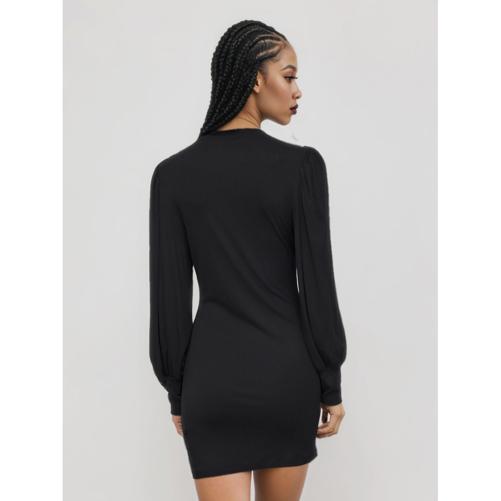 Stand Collar Mini dress